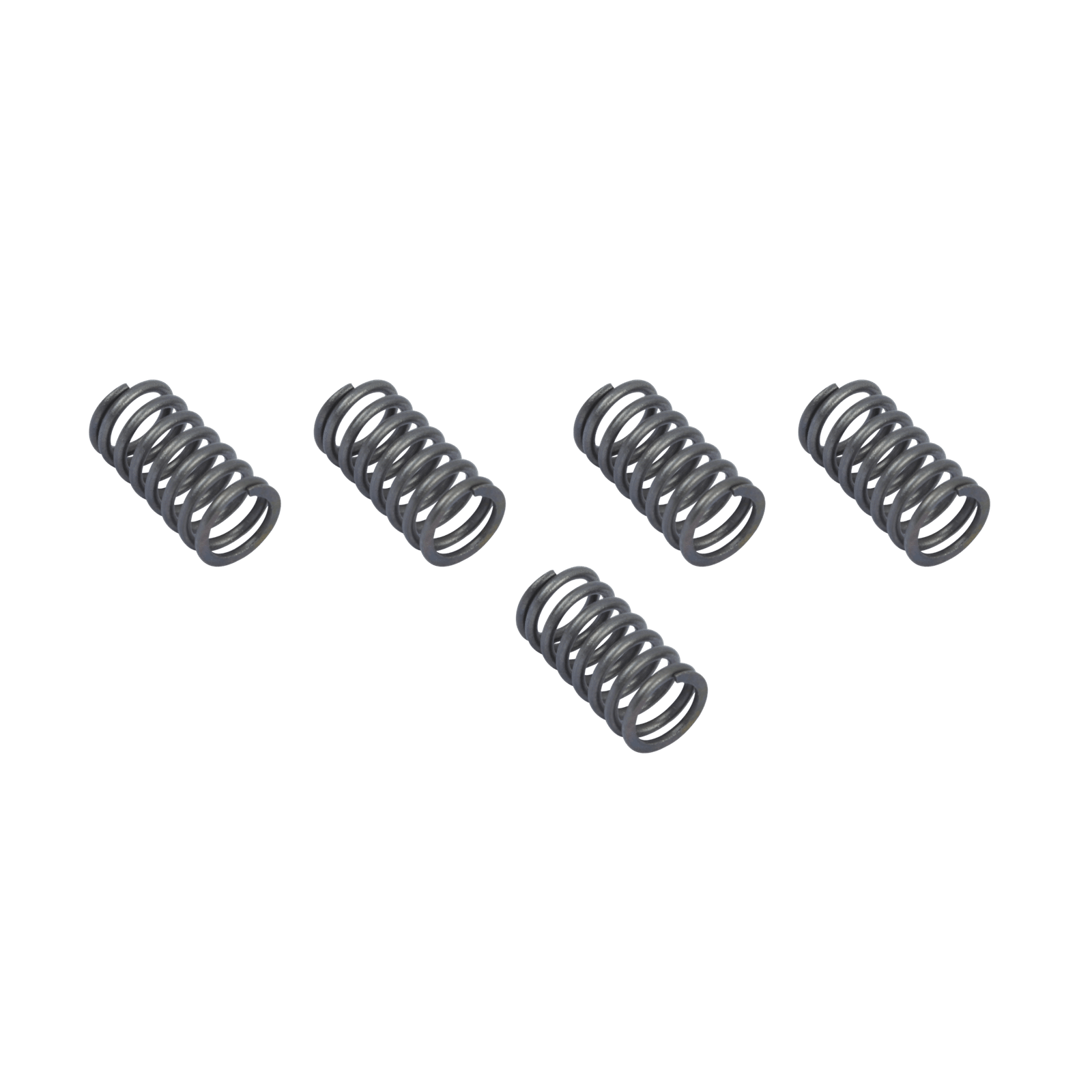 Housing Spring (Set)